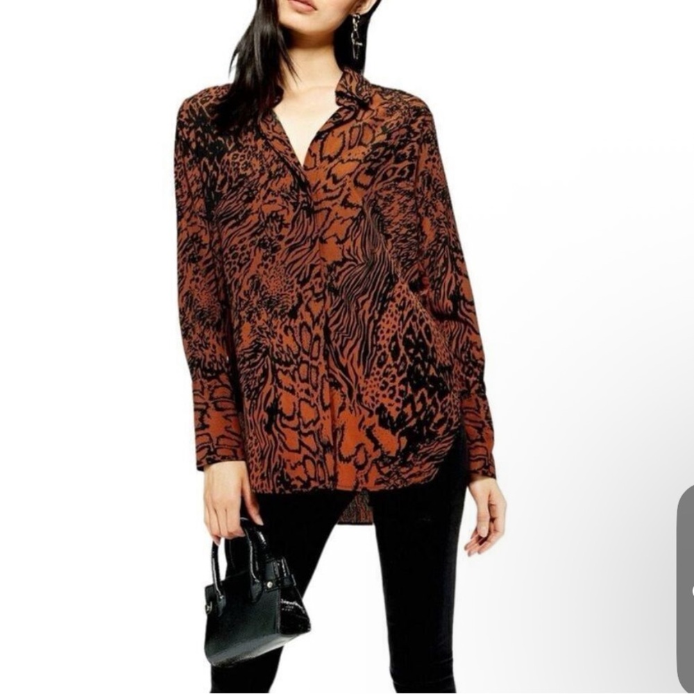 Topshop Animal Print Cheetah Blouse Button Down Mesh US 4